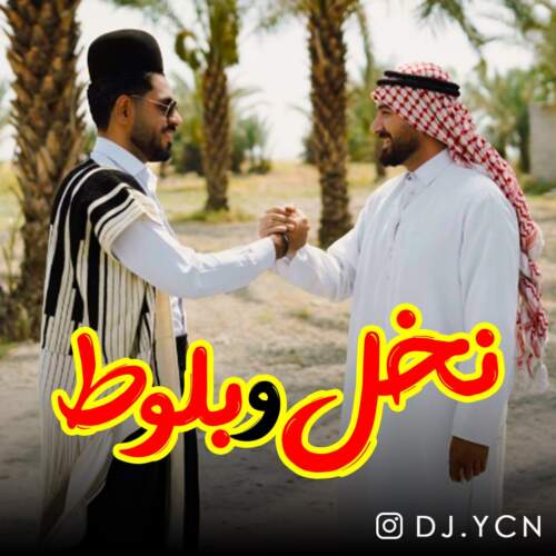 دانلود آهنگ بنام نخل و بلوط با صدای دیجی یاسین