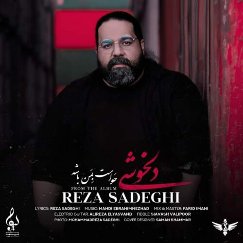 دانلود آهنگ بنام دلخوشی با صدای رضا صادقی