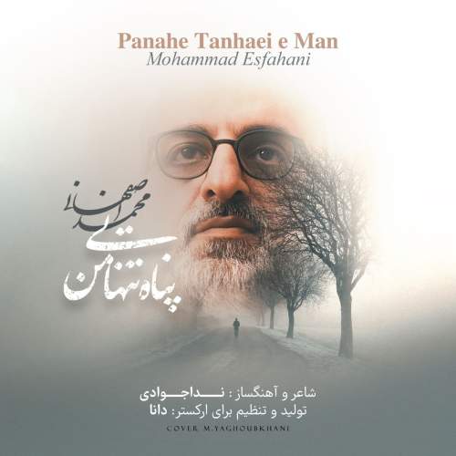 دانلود آهنگ بنام پناه تنهایی من با صدای محمد اصفهانی
