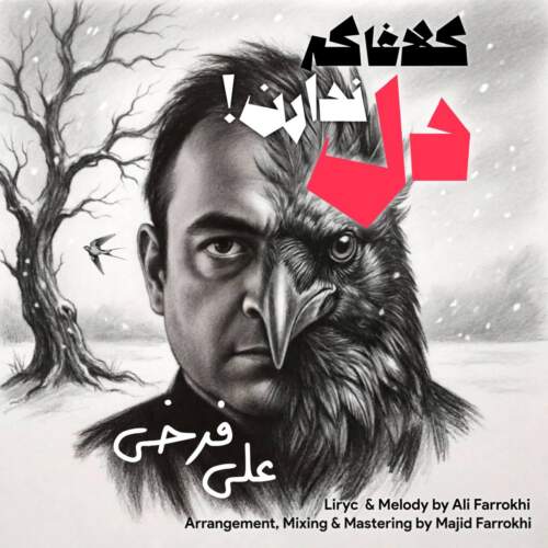دانلود آهنگ بنام کلاغا که دل ندارن از علی فرخی