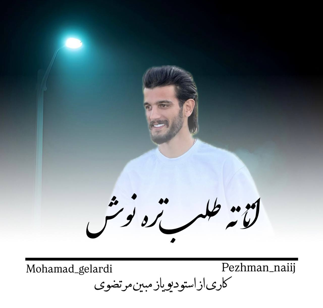 دانلود آهنگ بنام طلب از محمد گلردی