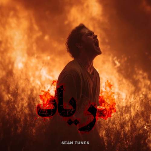 دانلود آهنگ بنام فریاد از سین