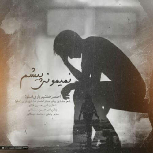 دانلود آهنگ بنام نمیمونی پیشم از احمد سلو