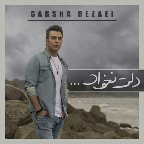دانلود آهنگ بنام دلت نخواد از گرشا رضایی