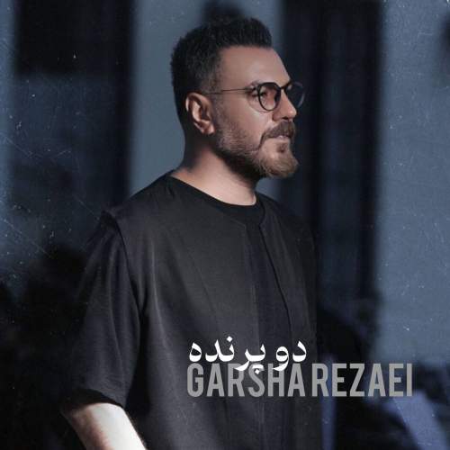 دانلود آهنگ بنام دو پرنده از گرشا رضایی
