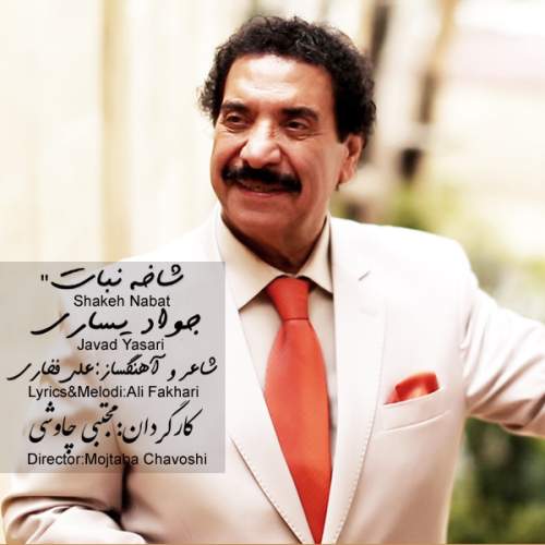 دانلود آهنگ بنام شاخه نبات از جواد یساری