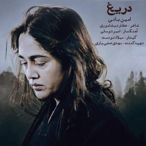 دانلود آهنگ بنام دریغ از امین بانی
