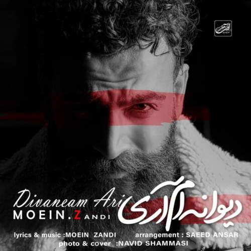دانلود آهنگ بنام دیوانه ام آری از معین زندی